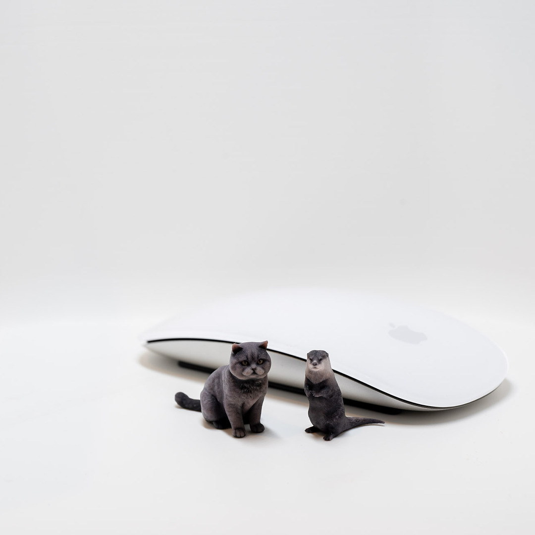 Two full-color cat prints next to a computer mouse for scale