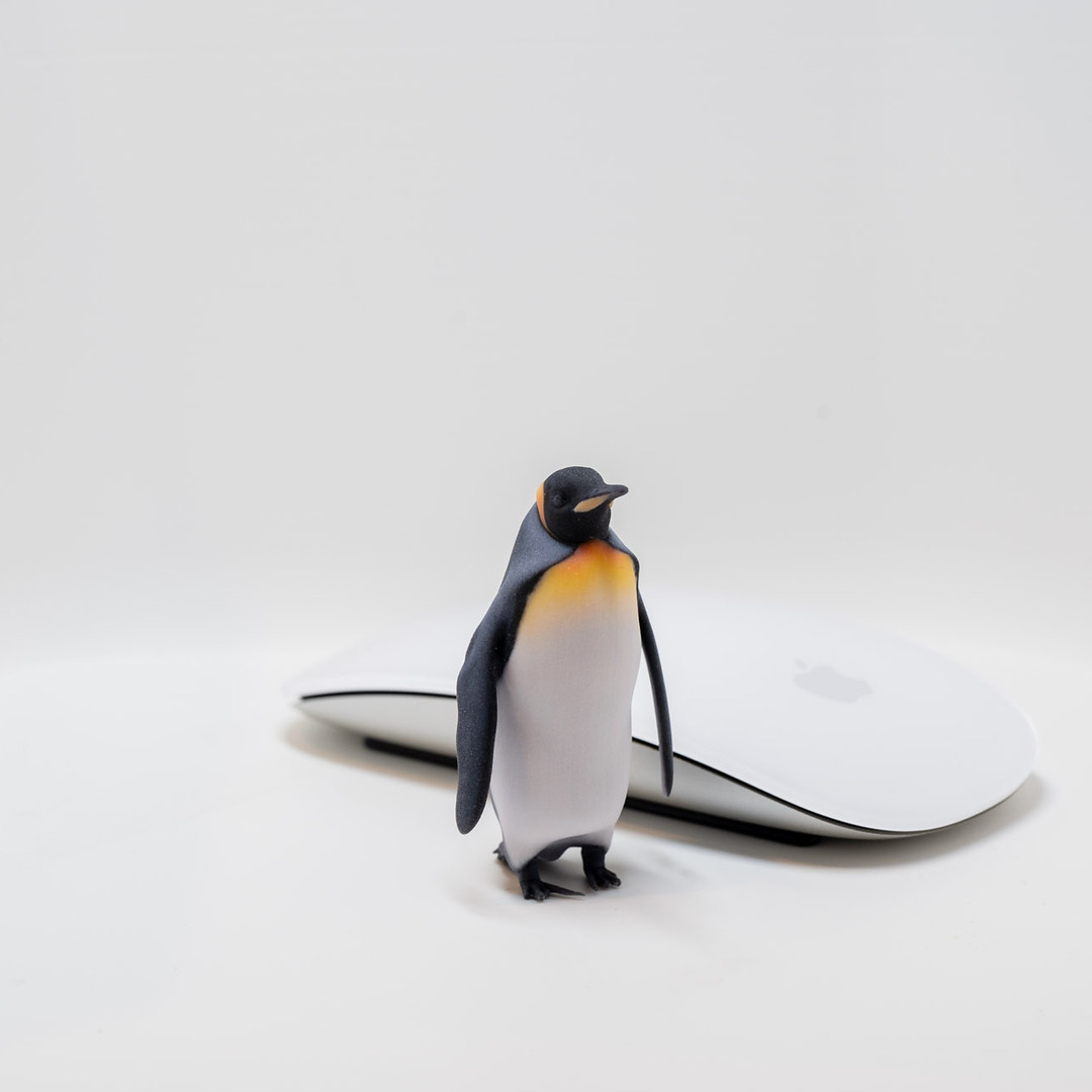Full-color emperor penguin print next to a computer mouse for scale