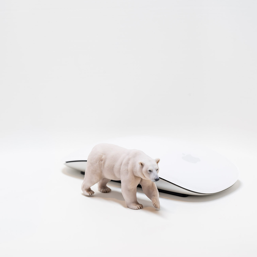 Full-color polar bear print next to a computer mouse for scale